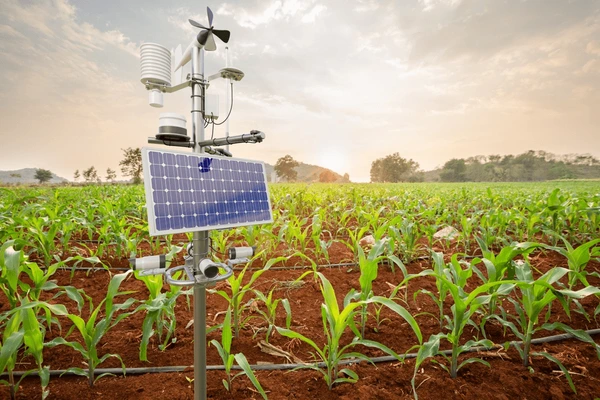 How Technology Is Enabling Smart Agriculture Practices