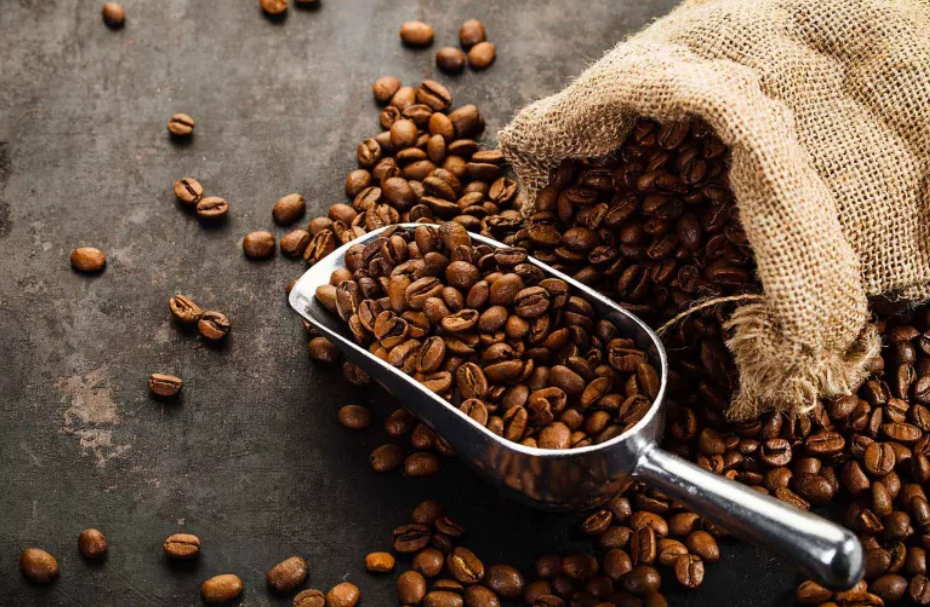 What to Look for in Coffee Suppliers to Ensure Quality Beans