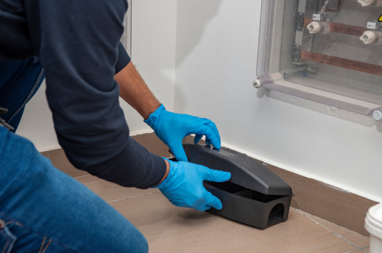  Protect Your Home with Pest‑Control – Why Exterminators Are Your Best Ally