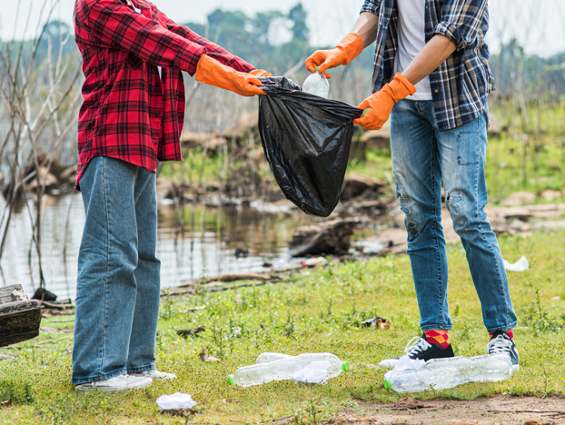 7 Garden Waste Collection Tips for a Cleaner and Healthier Outdoor Space